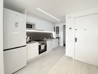 Modern fully-equipped kitchen